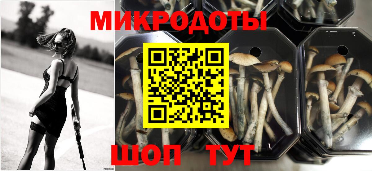 Псилоцибиновые грибы Cubensis Трёхгорный