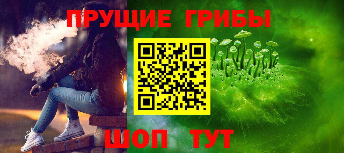 Псилоцибиновые грибы Psilocybine cubensis  Вход с VPN  Трёхгорный  наркота  Галлюциногенные грибы прущие грибы 